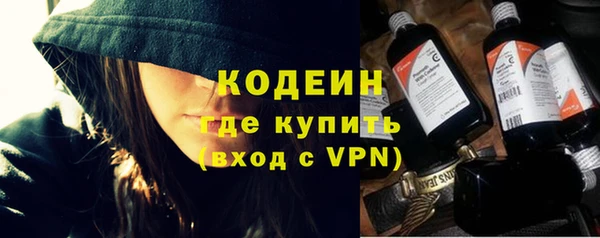 молекула духа Алзамай