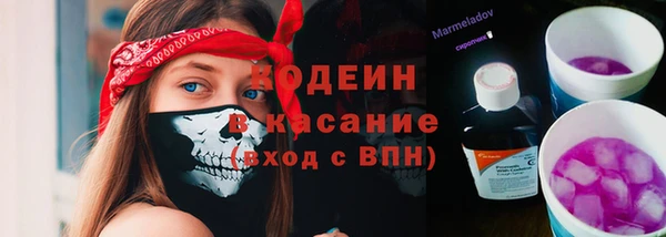 молекула духа Алзамай